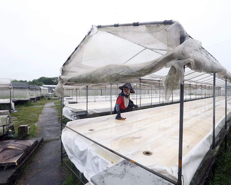Unable to sustain high costs, family farm calls it quits after 6 decades