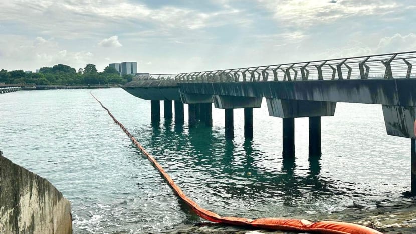 Singapore agencies working with Shell to clean up 30 to 40 metric tonnes of 'slop' that leaked into sea Singapore agencies working with Shell to clean up 30 to 40 metric tonnes of 'slop' that leaked into sea