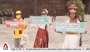 Country pavilions showcase art, culture, food and souvenirs at COP30 in Brazil's Belem