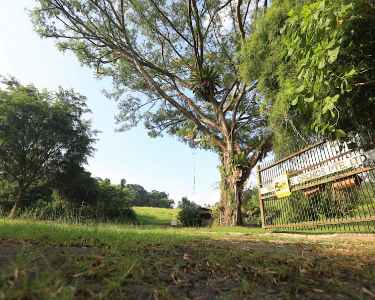 Mandai plans altered to limit environmental impact