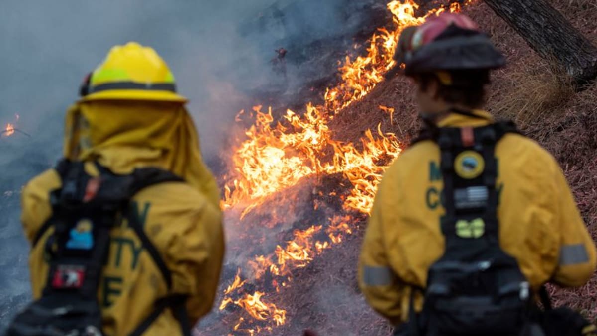 Looter dressed as firefighter to prey on LA fire victims: Police