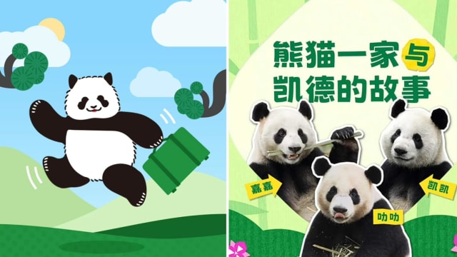 纪念入华30周年 凯德集团捐款支持大熊猫保护