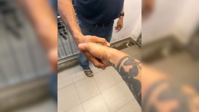 “为动物发声”正式接管88只动物热爱者协会的猫