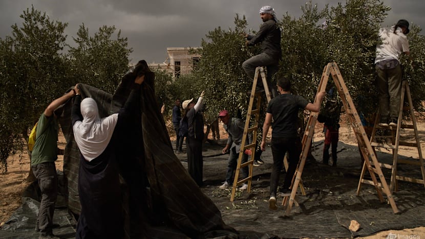 Israeli settlers attack European diplomats, beat French mayor