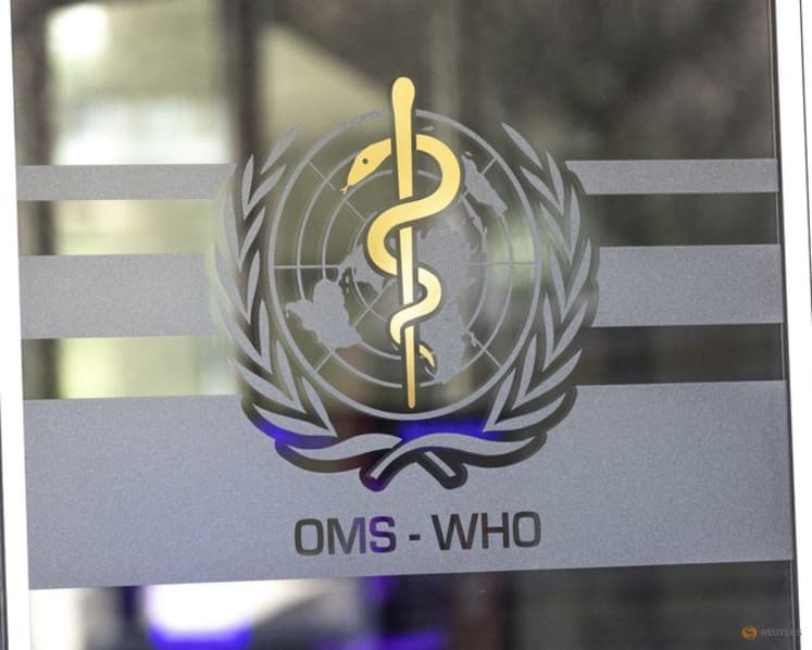 Commentary: Despite improved WHO regulations, we are ill-prepared for another pandemic like COVID-19
