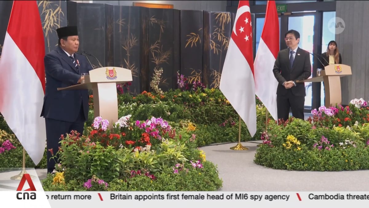 Singapore and Indonesia sign landmark deals to accelerate growth of their green economies