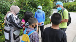 Related article image