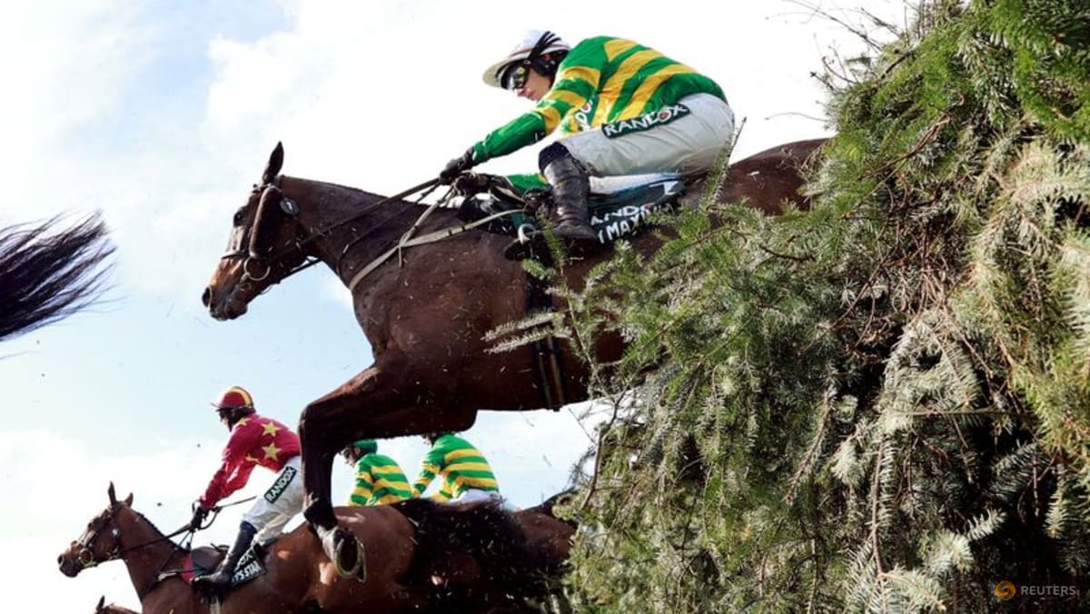 Horse racing-I Am Maximus Grand National victory costs British bookmakers dear