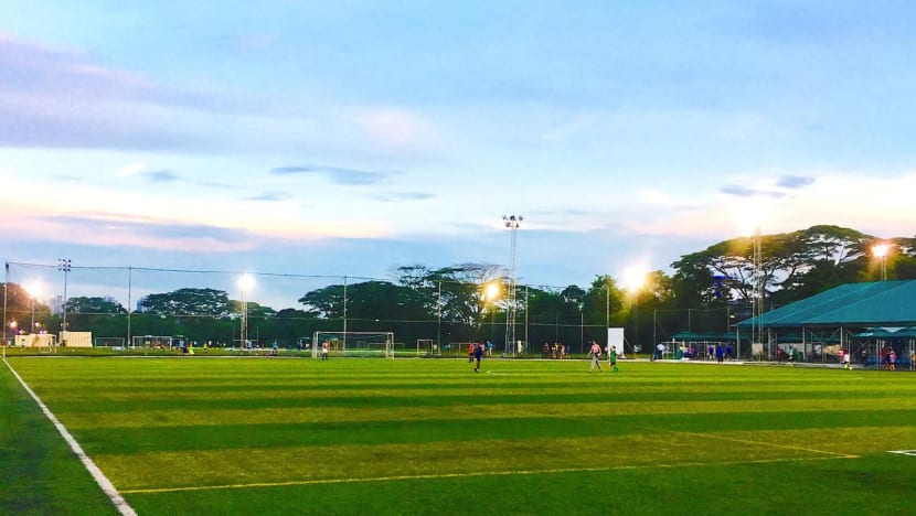 Smaller fields, fewer sports facilities at new home of Turf City's football pitch operator Smaller fields, fewer sports facilities at new home of Turf City's football pitch operator