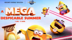 Related article image