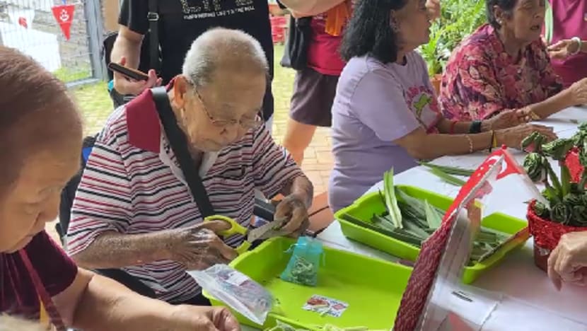 NParks anjur pelbagai acara sempena ulang tahun ke-20 program galak warga SG berkebun