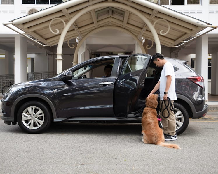 Grab your pet and go: GrabPet service launches in Singapore