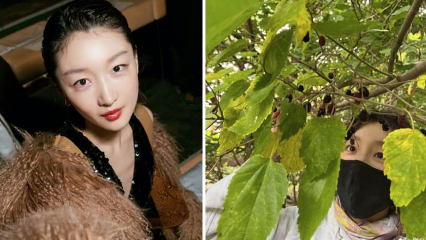 Chinese Actress Zhou Dongyu Called "Inconsiderate" For Plucking Mulberries In Beijing Park