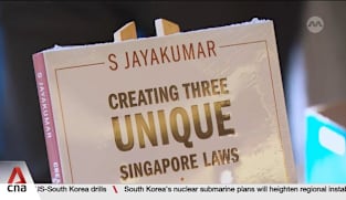 Elected presidency, GRC, NCMP schemes have served Singapore well: SM Lee 