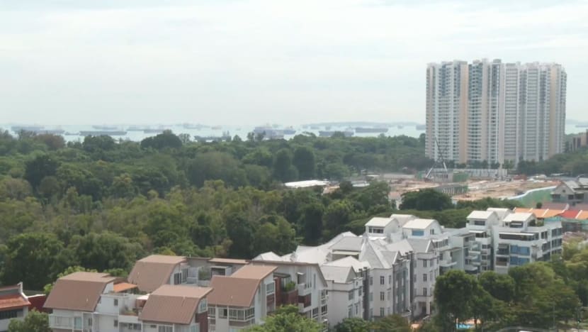 Forest clearing for Bayshore project: Nature experts call for green spaces to be prioritised in urban planning