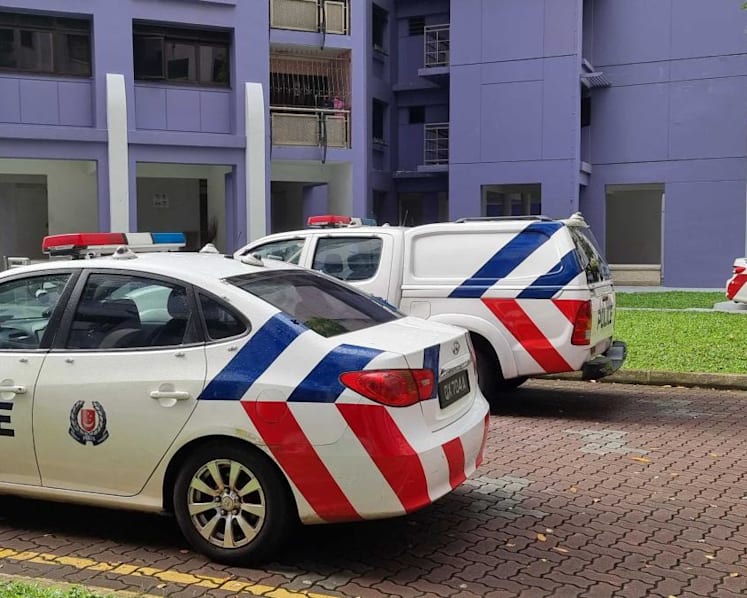 Woman charged with murdering her father in Sengkang flat