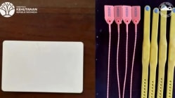 Related article image