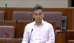 Adjournment motion on reclaiming childhood in the AI era
