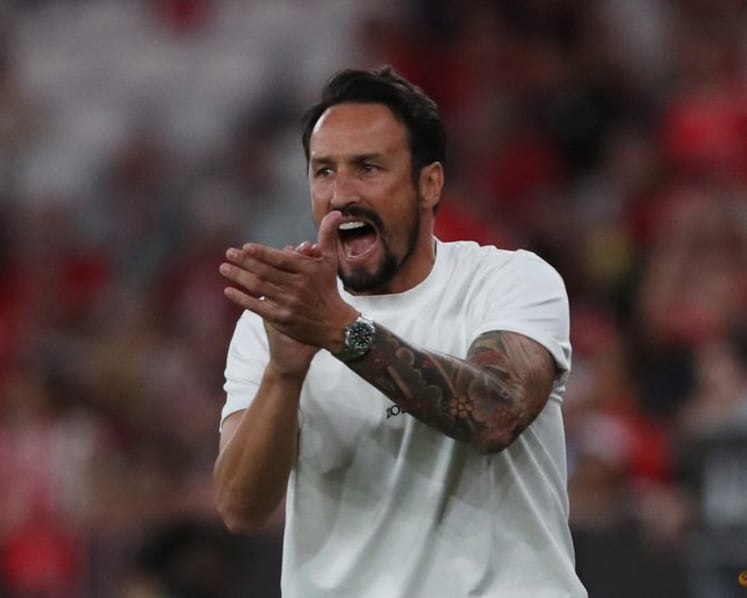 Wolves appoint Peixoto as new boss