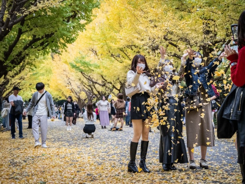 People have their photographs taken as they throw fallen leaves in autumn colours in Tokyo on Nov 13, 2022. People have their photographs taken as they throw fallen leaves in autumn colours in Tokyo on Nov 13, 2022.