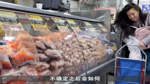 巴西进入28天观察期 冀能正式摆脱禽流感疫情