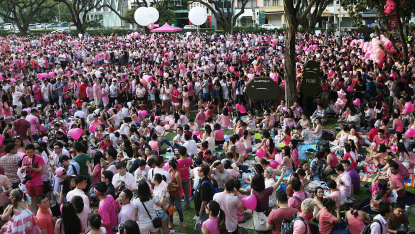 Pink Dot takes issue with being cited by Govt as example that LGBTQ community does not face discrimination