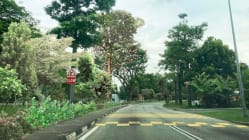 Related article image