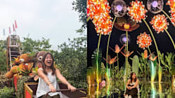 Related article image