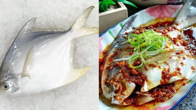 食谱：清蒸白鲳