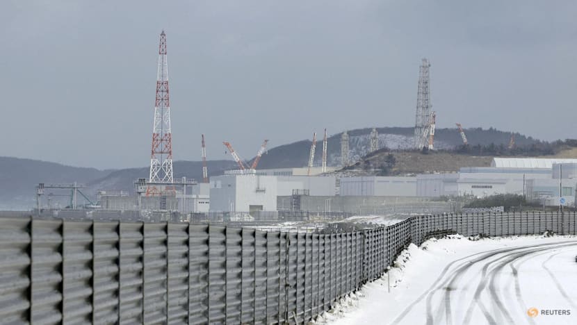 TEPCO restarts reactor at Kashiwazaki-Kariwa nuclear power plant