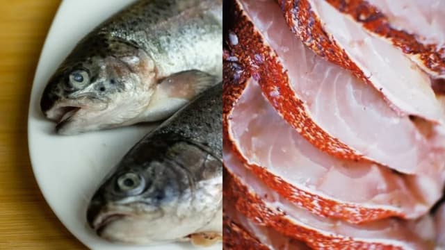 鱼头、鱼皮是你的最爱？吃鱼小心这些重污染部位