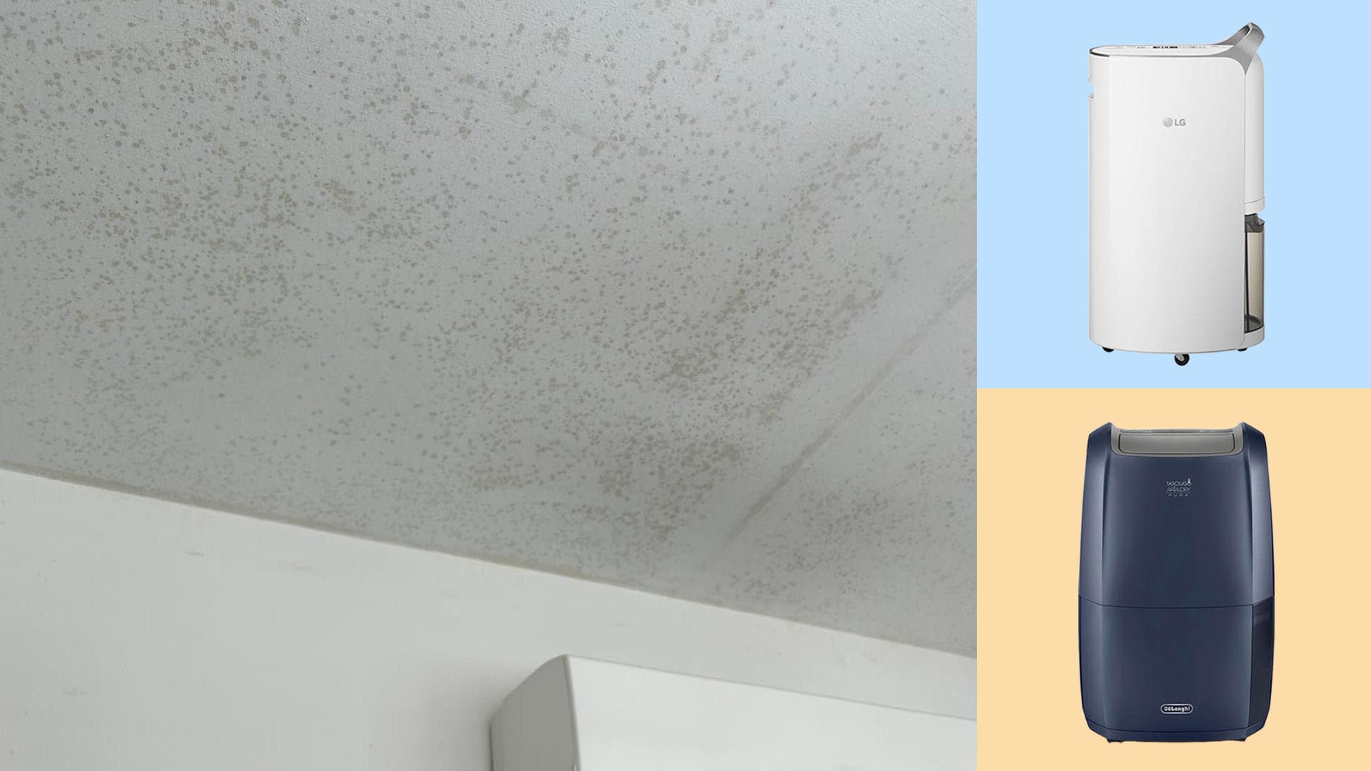 00_mould_and_dehumidifiers_1.jpg?itok=WCciFTj8