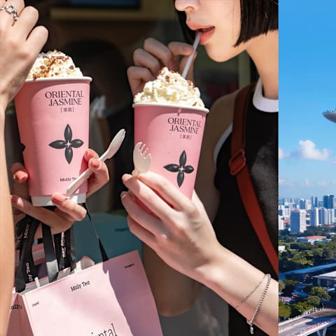 中国深圳茶饮Molly Tea　2026年狮城开店