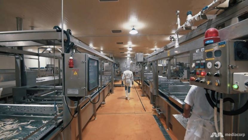 From a kampung shed, how a family fishball empire was built on automation - CNA