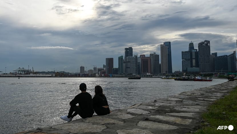 More young Singapore residents staying single as family sizes shrink