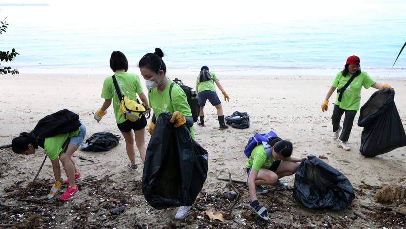 9 in 10 S'pore millennials willing to do their part for the environment, but want Govt to do more: Survey