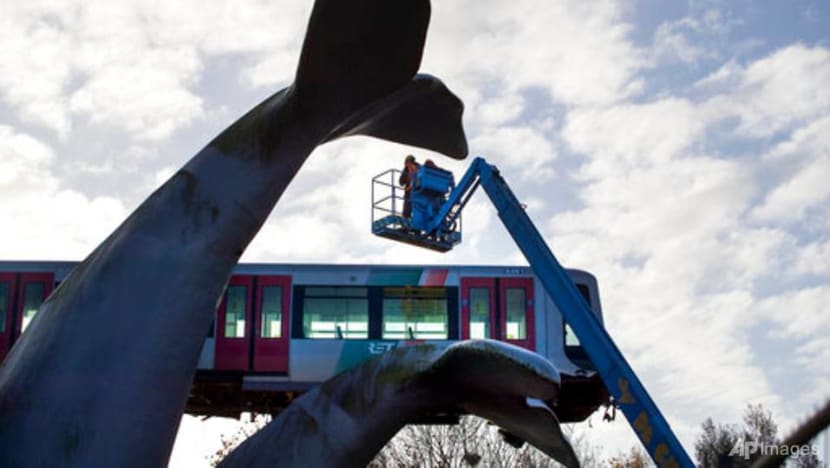 Dutch train caught by whale sculpture to be salvaged    