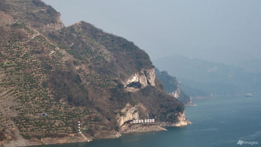 A cliff that looks like a puppy resting beside the Yangtze River delights people in China