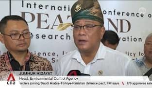 Transboundary haze: Indonesia's environment minister conducts field checks for joint task force 