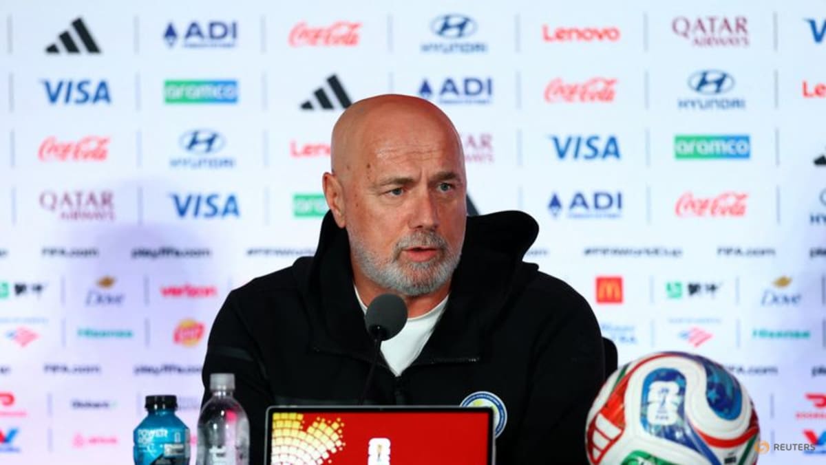 Bosnia will play with hearts in World Cup opener, 