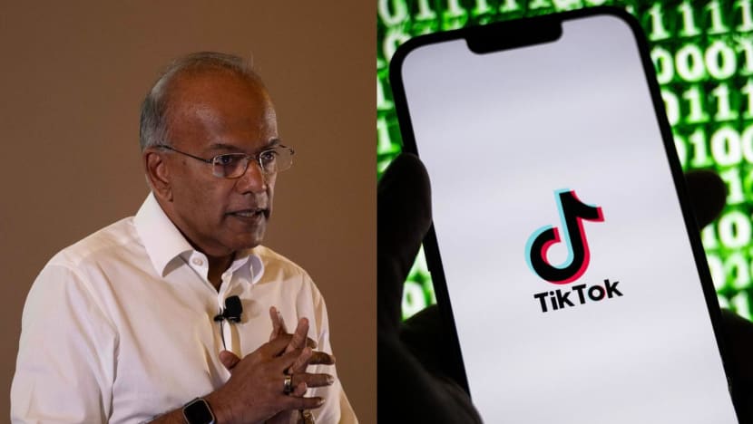 Shanmugam seeks court order requiring TikTok to name users who posted 'false, baseless' claims of extra-marital affair