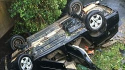 Related article image