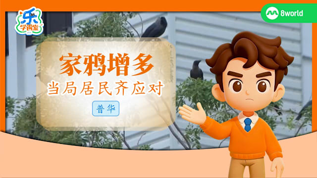 【普华】治鸦有方　控制家鸦保护本地生态 