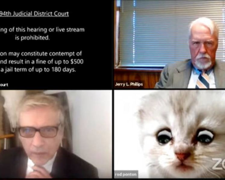 Attorney-at-paw? Zoom filter makes lawyer look like fluffy cat in court hearing