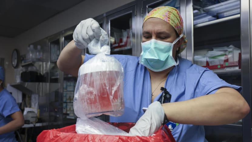 Commentary: The first pig kidney has been transplanted into a living person. What does this mean for organ donation? Commentary: The first pig kidney has been transplanted into a living person. What does this mean for organ donation?