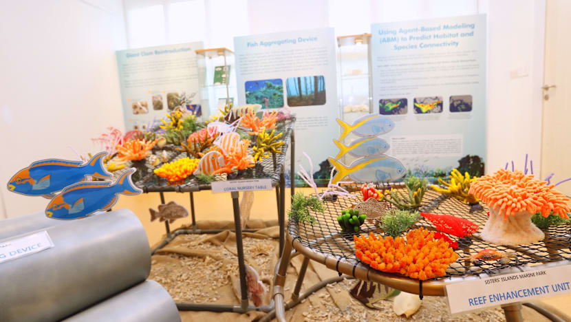 Sisters’ Island Park Public Gallery opens