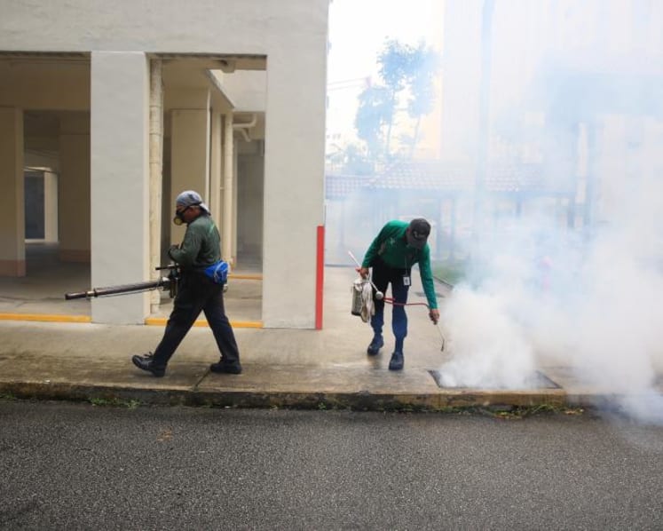 New Zika cluster in Hougang Ave 7; number of local cases hits 381