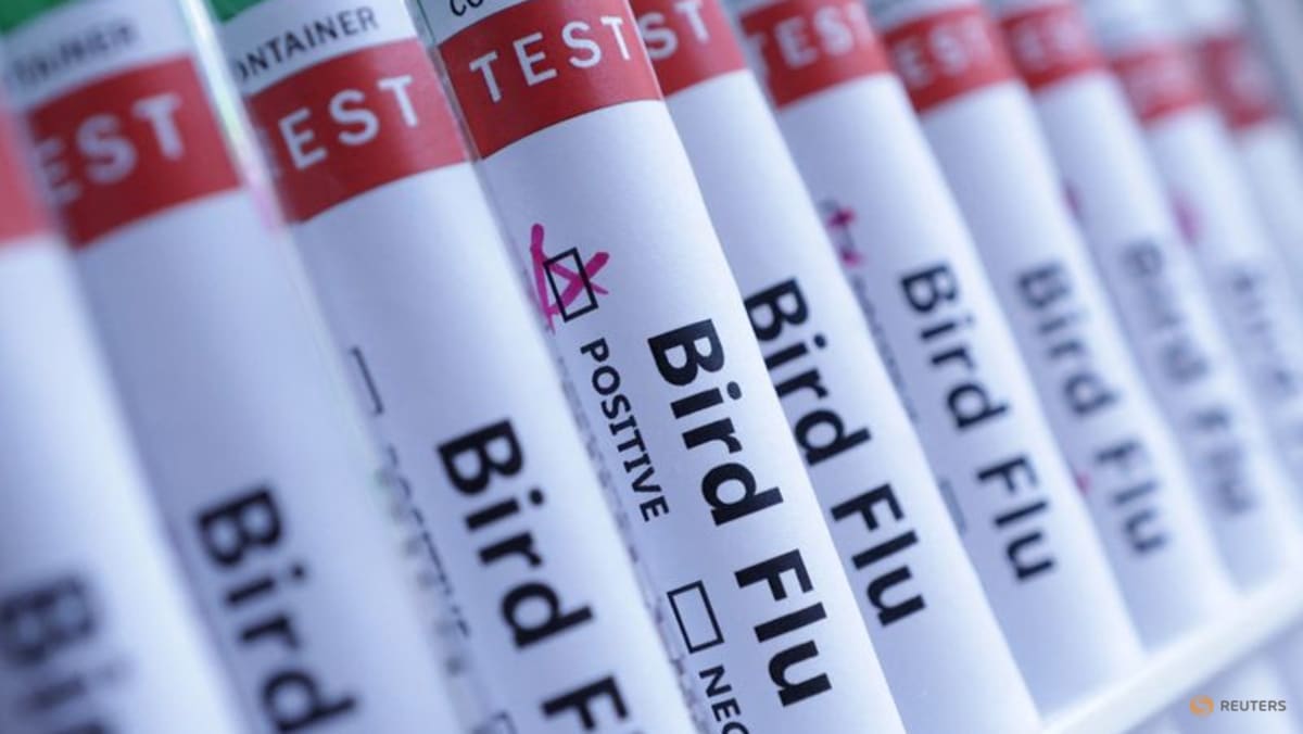 Australia confirms first case of H5N1 bird flu as virus reaches every continent