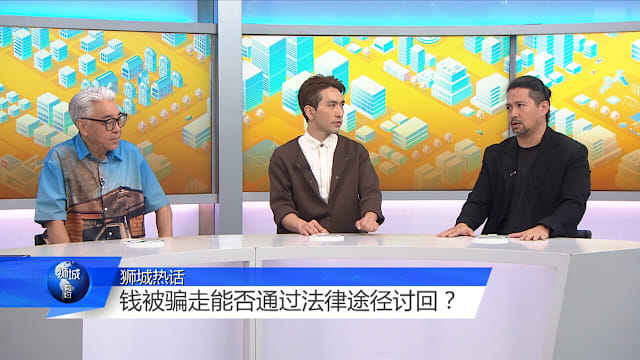 狮城有约 | 财务被亲人剥削 被骗子欺诈 找谁求助？