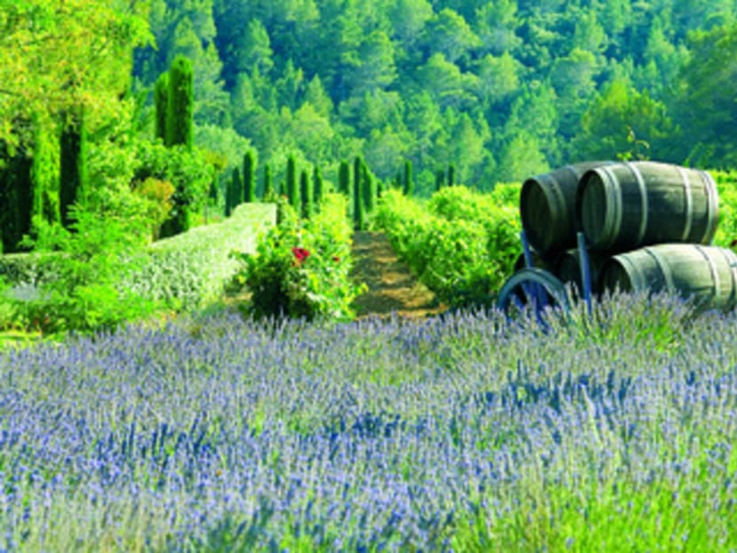 Mastering the art of French cooking